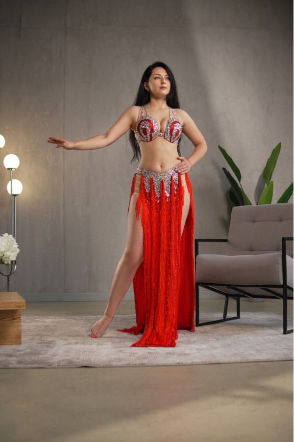 Professional bellydance costume (Classic 356A_1)